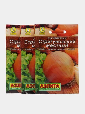 Лук Стригуновский: описание сорта. Неприхотливый и урожайный, не вызывает  сложностей при культивировании | Идеальный огород | Дзен