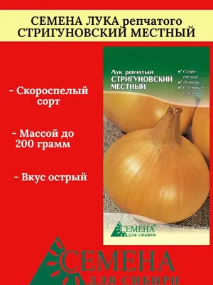 Лук Стригуновский 10 г ранний (минимальный заказ 10 пачек) (ID#1075040035),  цена: 7.30 ₴, купить на Prom.ua