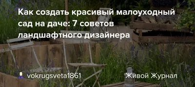 Красивый малоуходный сад на даче: какие растения сажать, примеры и советы  дизайнера | Вокруг Света