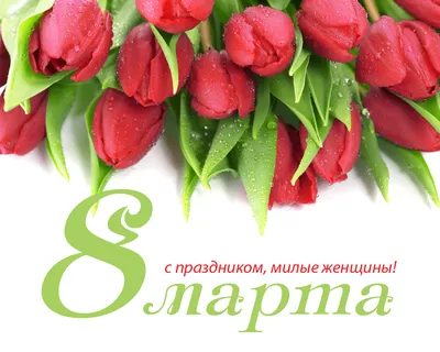 Красивые картинки, открытки, анимированые гифки поздравления с 8 Марта для  коллег | Мой Архангельск