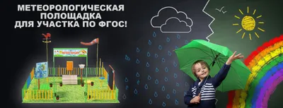 Метеостанция для детского сада, проект в ДОУ купить по низкой цене