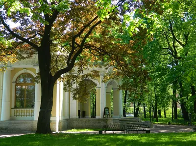 Михайловский сад - Питерский двор