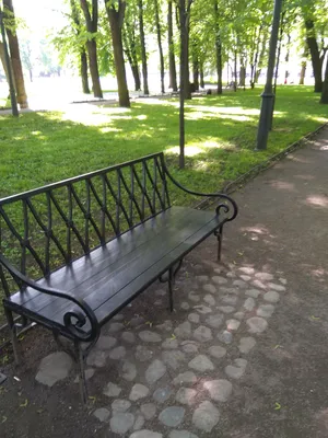 Петербуржцам покажут первоцветы Михайловского сада | Sobaka.ru