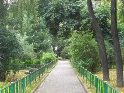 Михайловский сад в Петербурге.
