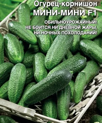 Огурец - корнишон Мини-Мини F1, 8 шт. , купить в интернет магазине  Seedspost.ru