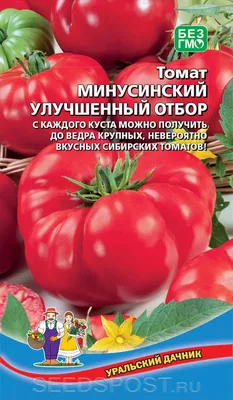 Томат Минусинский Улучшенный Отбор, 20 шт., купить в интернет магазине  Seedspost.ru