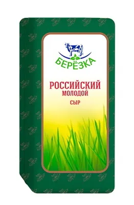 Береза пушистая - Полярно-альпийский ботанический сад-институт им. Н.А.  Аврорина