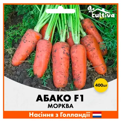 Купить Морковь Абако F1 400 шт (Голландские семена) M1 в интернет магазине  cultiva
