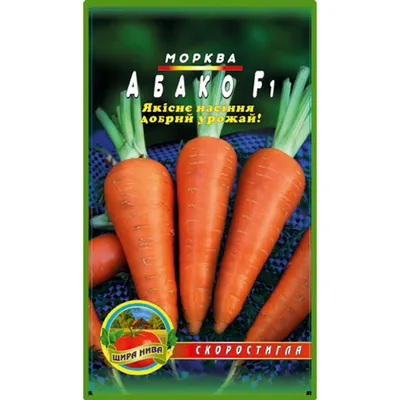 Морковь Абако купить семена, описание и характеристика