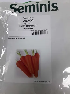 Морковь Абако F1 от Seminis / Семинис) - «Морковь Абако. Шикарный сладкий  сорт, голландский гибрид. Хорош и в сыром виде и в разных блюдах» | отзывы