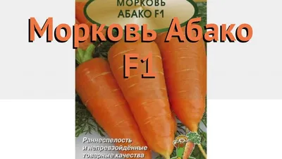 Семена морковь Абако F1 (фр. 1,8-2,0) 200 000 семян, Seminis (Голландия)