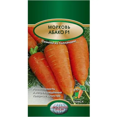 Семена морковь Абако F1 Nunhems Голландия - Купить Семена морковь Абако F1  Nunhems Голландия в Киеве, Украине | Интернет магазин семян