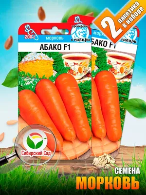 Купить Морковь Абако F1 (1 млн семян) • Seminis Vegetable Seeds  (Нидерланды) • тип шантанэ, 90-95 дней, фракция 2.0 и более • в Агрошоп5 с  доставкой по России • -1685