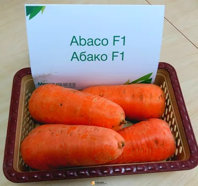 Семена моркови Абако F1 рекомендуем, купити за 37.00 грн. :: Rastim