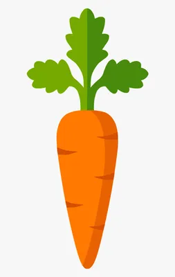 Морковка картинки - 82 фото
