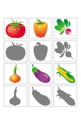 Найдите разницы, игра для детей, морковь Иллюстрация вектора - иллюстрации  насчитывающей зеленый, страница: 120389789