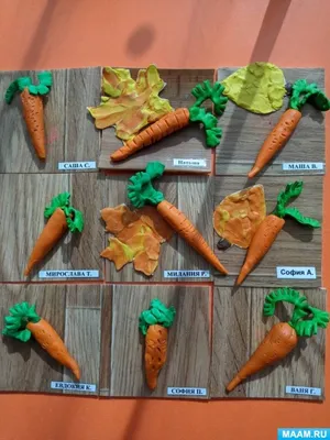 Как нарисовать морковь поэтапно 8 уроков