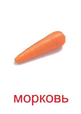 Морковь , морковка из полимерной глины своими руками. Для развития детей.  Фрукты и овощи из глины. Помидора из полимерной глины. Огурец, о… | Овощи,  Фрукты, Глина