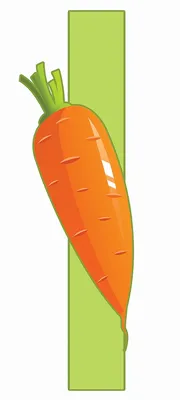красочная морковь сельское хозяйство детский фон Фото И картинка для  бесплатной загрузки - Pngtree