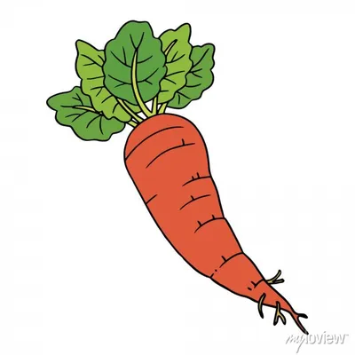 Симпатичные морковь иллюстрации мультфильм, изолированных на плакаты на  стену • плакаты закуска, простота, салат | myloview.ru