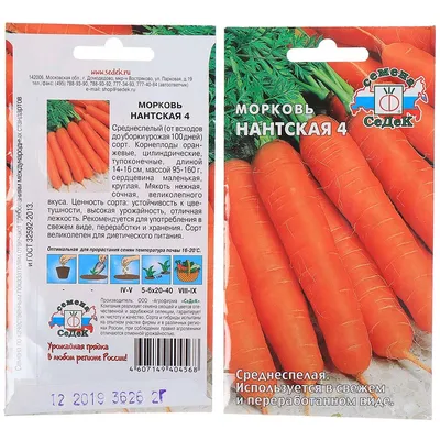 Выращивание моркови – технология и опыт | Гавриш