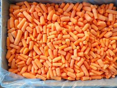 Морковь Юкон F1 (100 000 сем.) купить семена по цене 9 291 ₽ за 100 000 сем.