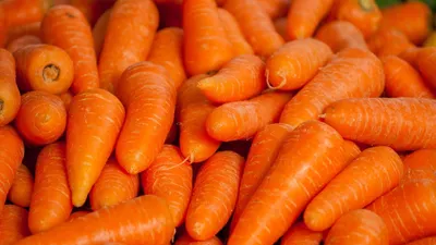 Морковь фото фото