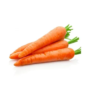 ➤ Морковь 1 сорт купить в Киеве и Украине по цене от 11.89 грн/кг ☆ АТБ  Маркет
