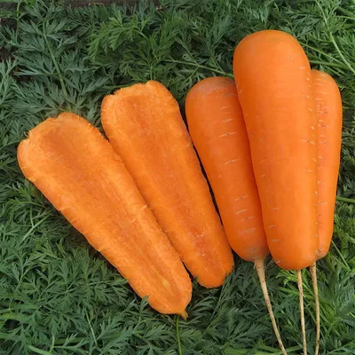 10 главных преимуществ моркови для здоровья