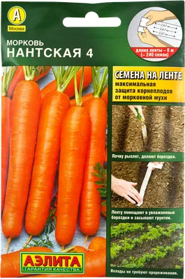 Защита моркови от морковной мухи и других вредителей | Гавриш