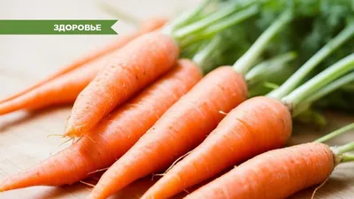 Морковь молодая — Пять фруктов