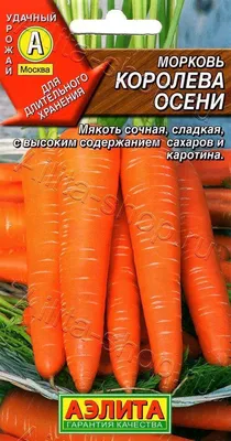 Морковь Королева осени 2г, семена | Купить в интернет магазине Аэлита