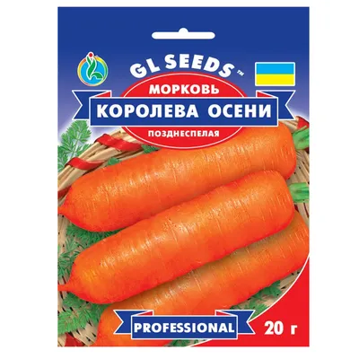 Морковь Королева осени 20 г Gl Seeds (ID#1076369804), цена: 26 ₴, купить на  Prom.ua