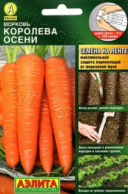 Морковь Королева осени купить по цене 55 ₽ в интернет-магазине KazanExpress