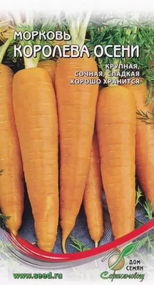 Морковь: Морковь \"Королева Осени\" Крым 10г.