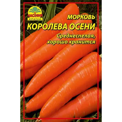 Морковь Королева осени Лидер из Семена Моркови 17руб.