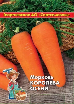 Семена Морковь Geolia «Королева осени» по цене 23 ₽/шт. купить в Москве в  интернет-магазине Леруа Мерлен
