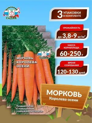 Морковь Королева осени 10г купить семена по каталогу почтой, цена, описание  сорта, отзывы, доставка наложенным платежом по России