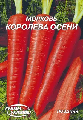 Семена Морковь Королева осени - купить по выгодной цене | Урожайка