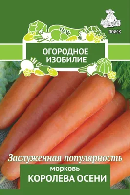 Морковь Седек Морковь - купить по выгодным ценам в интернет-магазине OZON  (886007535)