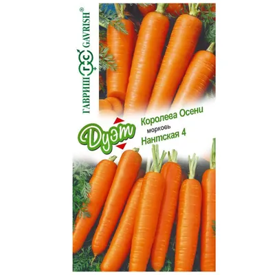 Купить семена Морковь Королева осени 2 г Поиск (Огородное изобилие) в  Липецке и с доставкой по России