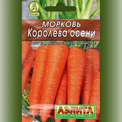 Купить Семена - Морковь Королева осени, 2 г. ❱❱ ТД Дарвин ❰❰❰