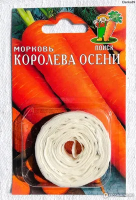 Купить Морковь Королева осени 2гр \"Пророст\" – Sezon Express