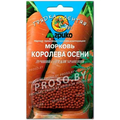 https://baucenter.ru/product/morkov-koroleva-oseni-2-g-kolchuga-ctg-29705-29775-29779-935003845/