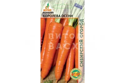 Морковь ПОИСК Королева осени гранулированная 300 шт - купить с доставкой!