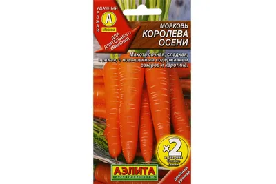 Морковь Королева осени 4г (двойной урожай) (Аэлита) в Центральной Стройбазе  купить по низкой цене