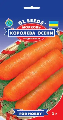 Семена Морковь \"Королева осени\", 800 шт 7453384 | AliExpress