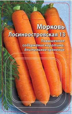 Семена Морковь «Лосиноостровская» 13 (Драже) по цене 34 ₽/шт. купить в  Ставрополе в интернет-магазине Леруа Мерлен