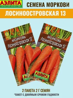 Морковь АРТИКУЛ Лосиноостровская 13 1,5 г, среднеспелая 4630009395812 -  выгодная цена, отзывы, характеристики, фото - купить в Москве и РФ