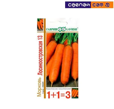 Морковь Лосиноостровская 13, семена Агроуспех 2г (200) в ТПК РОСТИ - ТПК  Рости